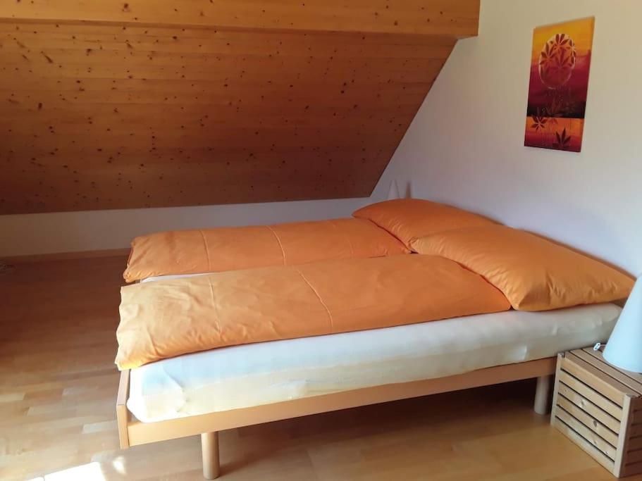 Zwinglis Ferienwohnung Rosi Nesslau Eksteriør billede